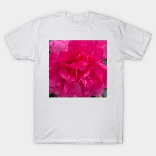 Pink Rose in the Rain T-Shirt